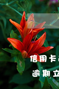 信用卡逾期抓人流程多久(2021年信用卡逾期立案標(biāo)準(zhǔn))