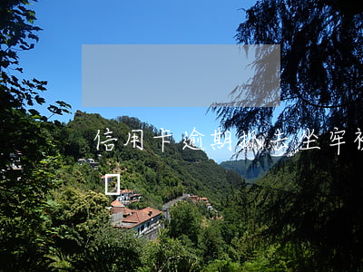 信用卡逾期抓去坐牢 被抓了信用卡逾期怎么辦