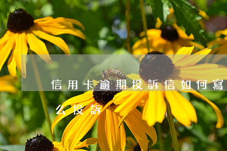 信用卡逾期投訴信如何寫(信用卡逾期最怕什么投訴)