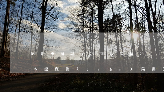 信用卡逾期投訴到銀保監(jiān)局范本(銀保監(jiān)局書面投訴信格式)