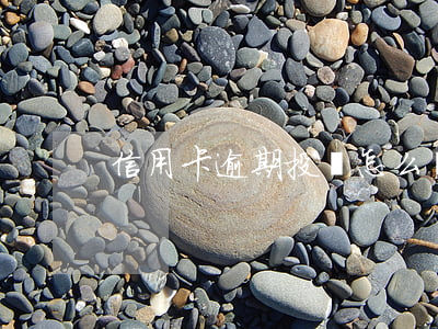 信用卡逾期投訴怎么說