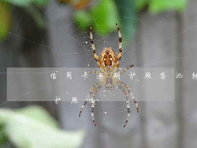 信用卡逾期护照签证能办么(有逾期可以办理护照吗?)