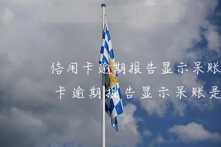 信用卡逾期报告显示呆账是怎么回事-信用卡逾期报告显示呆账是怎么回事啊