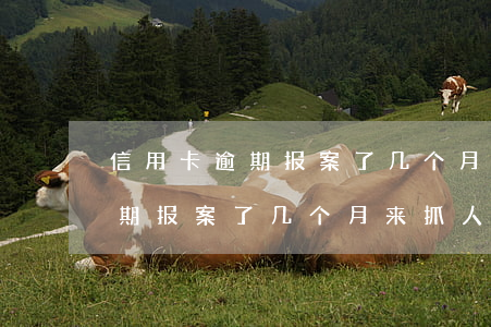信用卡逾期报案了几个月来抓人-信用卡逾期报案了几个月来抓人怎么办