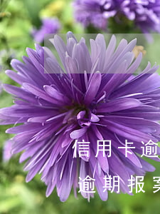 信用卡逾期报案后经侦多久会传唤-信用卡逾期报案后经侦多久会传唤家属