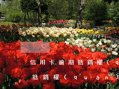 信用卡逾期抵銷權(quán)(信用卡逾期抵銷權(quán))