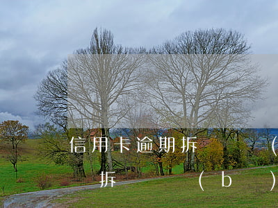 信用卡逾期拆東墻補(bǔ)西墻(信用卡怎樣拆東墻補(bǔ)西墻)