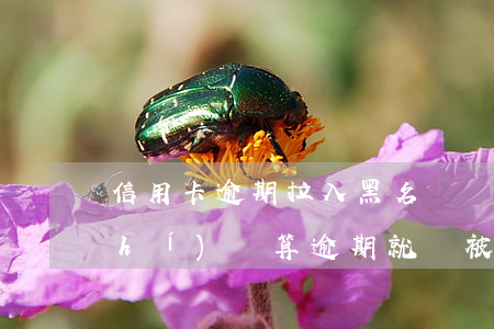 信用卡逾期拉入黑名單嗎(信用卡多長時(shí)間算逾期就會被拉到黑名單)