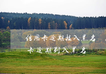 信用卡逾期拉入黑名單怎辦(收到短信說信用卡逾期列入黑名單)