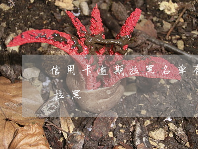 信用卡逾期拉黑名单有什么后果（信用卡逾期拉黑）