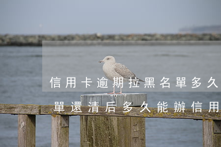 信用卡逾期拉黑名單多久恢復(fù) 黑名單還清后多久能辦信用卡