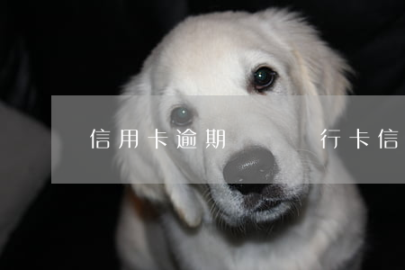 信用卡逾期拋賬 銀行卡信用卡逾期