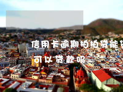信用卡逾期拍拍贷能贷吗(拍拍贷没有信用卡可以贷款吗)