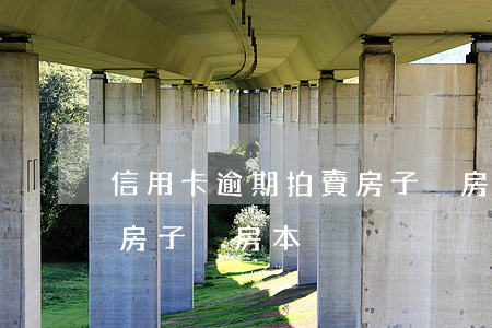 信用卡逾期拍賣房子沒房本(信用卡逾期拍賣房子沒房本)