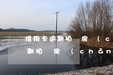 信用卡逾期拍賣房產(chǎn) 信用卡逾期拍賣房產(chǎn)怎么處理