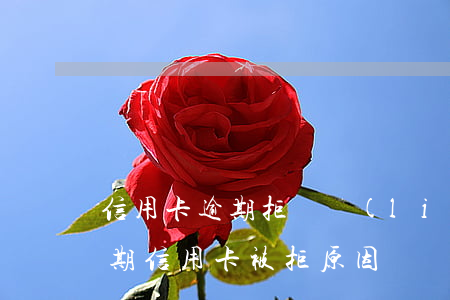信用卡逾期拒絕聯(lián)系(從來不逾期信用卡被拒原因)