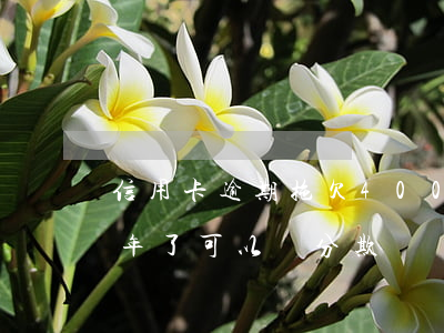 信用卡逾期拖欠4000(信用卡逾期拖欠一年了可以辦分欺還嗎)