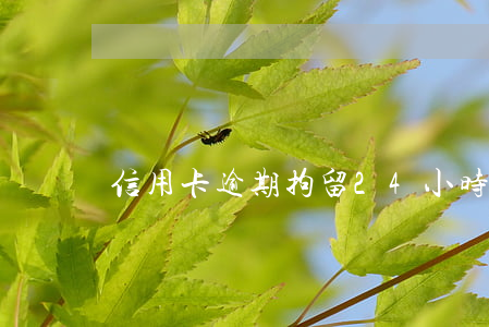 信用卡逾期拘留24小时