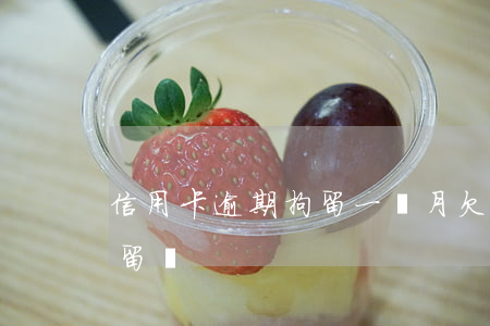 信用卡逾期拘留一個月(欠信用卡3個月會拘留嗎)