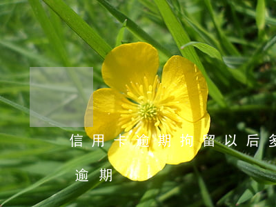 信用卡逾期拘留以后多久判刑(被拘留信用卡逾期)