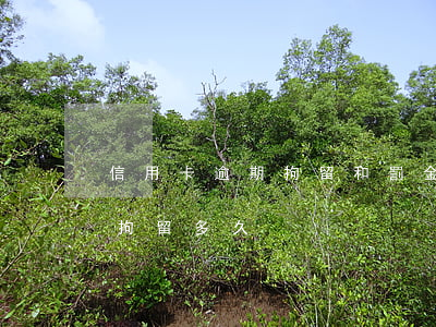 信用卡逾期拘留和罰金嗎(信用卡逾期派出所拘留多久)