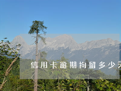 信用卡逾期拘留多少天-信用卡 逾期 幾天