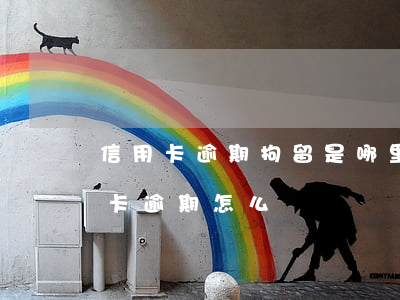 信用卡逾期拘留是哪里抓人(人在拘留所信用卡逾期怎么辦)