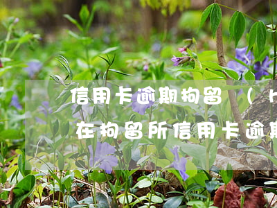 信用卡逾期拘留會(huì)通知家屬嗎(人在拘留所信用卡逾期怎么辦)