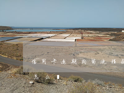 信用卡逾期拘留流程(在拘留期間信用卡逾期怎么辦)