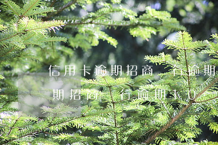 信用卡逾期招商銀行逾期10萬-信用卡逾期招商銀行逾期10萬怎么辦