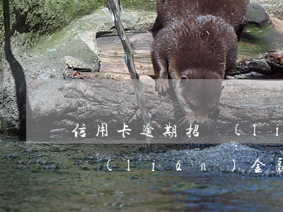 信用卡逾期招聯(lián)金融不借了(招聯(lián)金融發(fā)信息信用卡逾期)