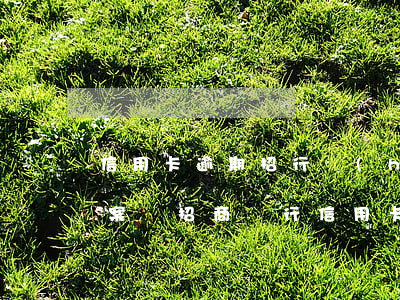 信用卡逾期招行會(huì)報(bào)案嗎(招商銀行信用卡逾期4000會(huì)不會(huì)被起訴)