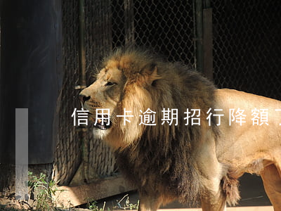 信用卡逾期招行降額了 招行降額還不起