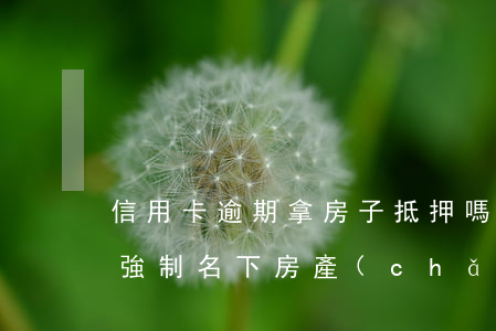 信用卡逾期拿房子抵押嗎(信用卡逾期會不會強制名下房產(chǎn)抵押)