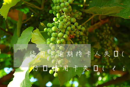 信用卡逾期持卡人失聯(lián)后果(銀行對信用卡失聯(lián)用戶)