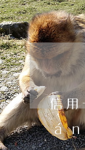 信用卡逾期持卡人家屬(信用卡逾期聯(lián)系家人)