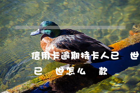 信用卡逾期持卡人已過世(信用卡逾期持卡人已過世怎么還款)