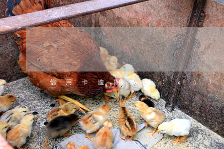 信用卡逾期持續(xù)6個月