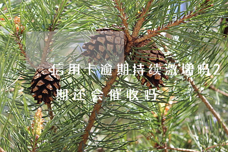 信用卡逾期持续激增吗(2021年信用卡逾期还会催收吗)