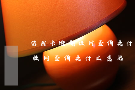 信用卡逾期挂网查询是什么意思 信用卡逾期挂网查询是什么意思