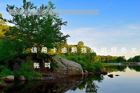 信用卡逾期挂账的好处(欠信用卡可以停息挂账吗)