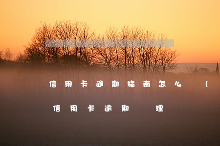 信用卡逾期指南怎么寫(xiě)好(最新的信用卡逾期處理)