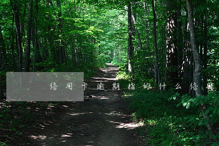 信用卡逾期指的什么 信用卡逾期指的什么