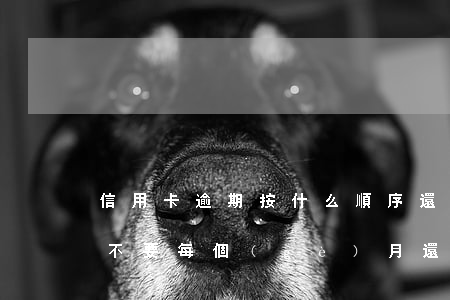 信用卡逾期按什么順序還(信用卡逾期到底要不要每個(gè)月還一點(diǎn))