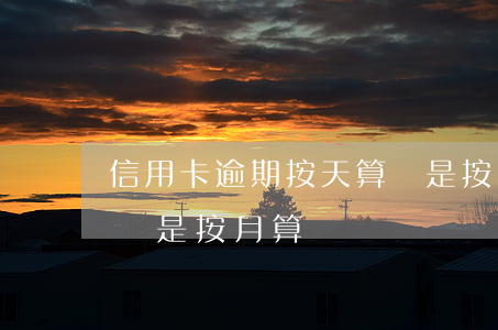 信用卡逾期按天算還是按月算(逾期是按天算還是按月算)