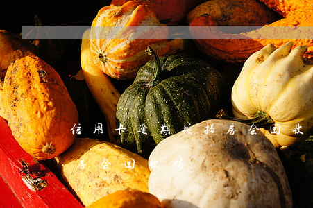 信用卡逾期按揭房会回收吗(信用卡逾期按揭房会回收吗)