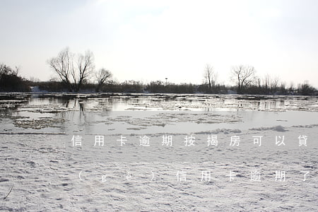信用卡逾期按揭房可以貸款(買房貸款有一個(gè)信用卡逾期了可以貸款嗎)