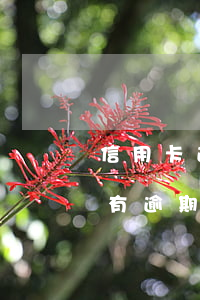 信用卡逾期按揭房有影响(2018年信用卡有逾期能按揭房子吗)