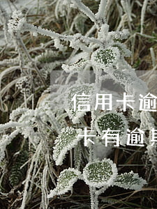 信用卡逾期按揭房正常还款(2018年信用卡有逾期能按揭房子吗)