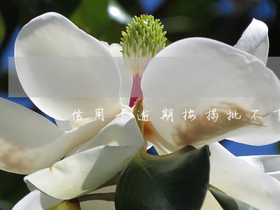 信用卡逾期按揭批不下來